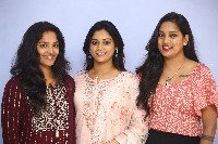 Vadevadu Veedevadu Mana Premaku Aadevadu Movie Press Meet